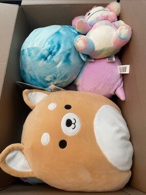 Squishmellow Bundle Box